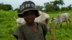 A Better Life: The Second National Fadama...